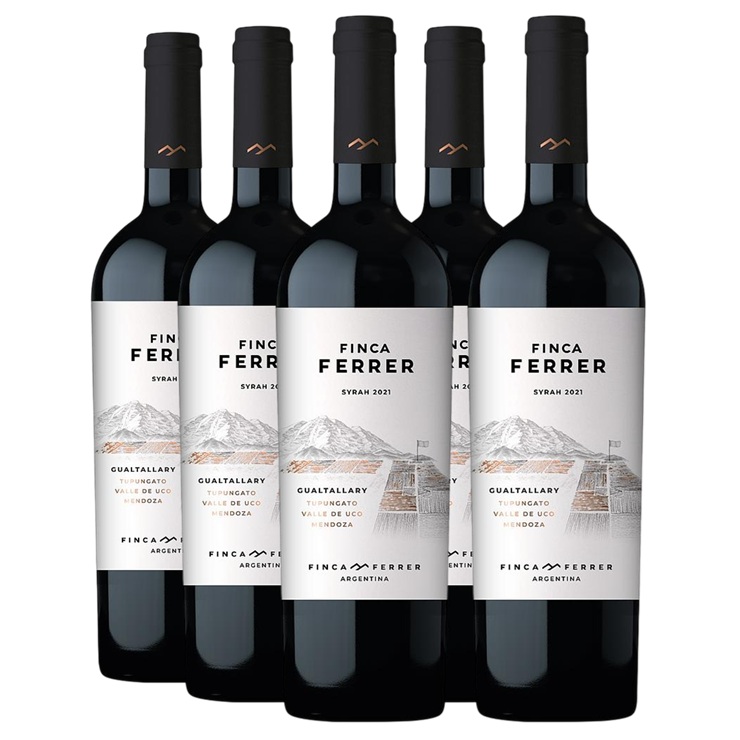 Promo 5+1 Finca Ferrer Syrah 750cc NP