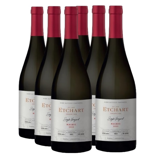 Promo 5+1 Etchart Single Vineyard Malbec 750cc