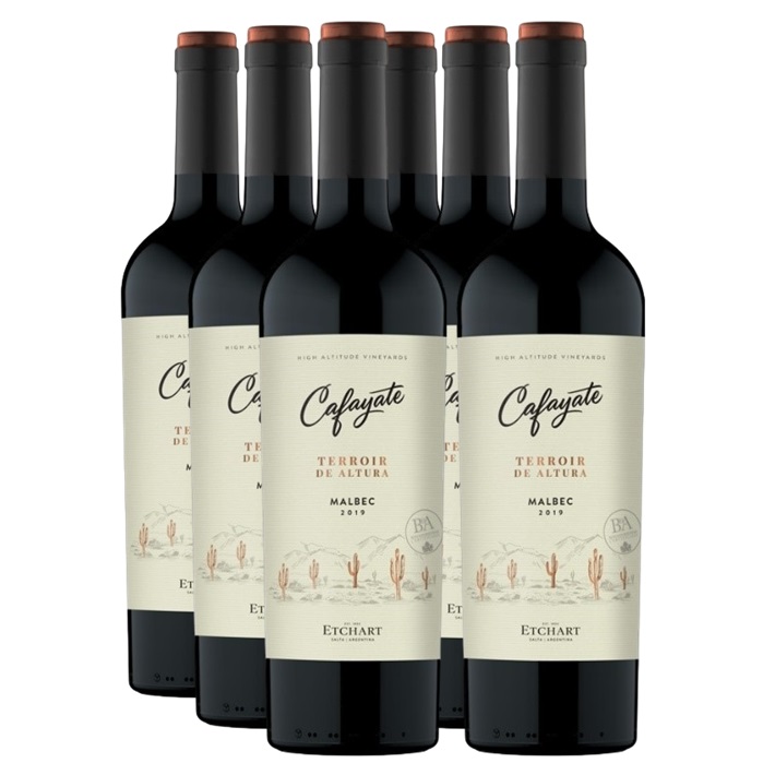 Promo 5+1 Cafayate Terroir de Altura Malbec 750cc