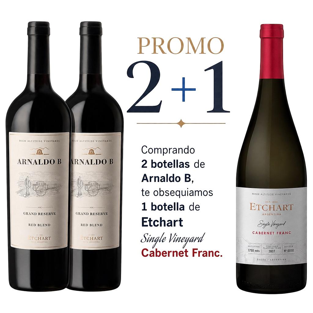 Promo x2 Arnaldo B 750cc + 1 Etchart SV Cabernet Franc 750cc Sin Cargo
