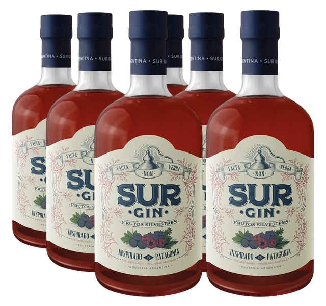 Promo 5+1 Gin Sur Frutos Silvestres 750cc